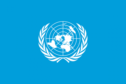 Bagudu seeks UN aid for $10b IDP funding