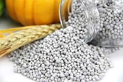 Bangladesh approves fertilizer imports, godown construction
