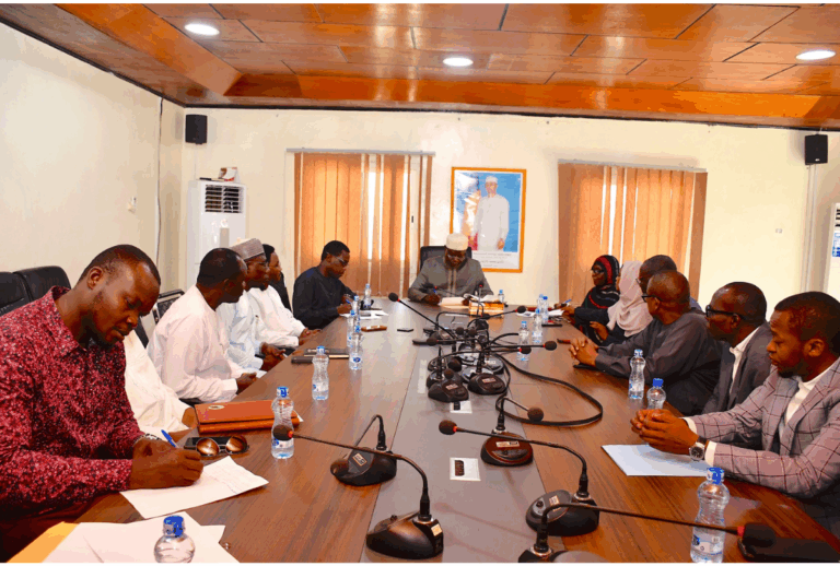 Chad appoints new tech leaders, including AI director, to boost digital transformation