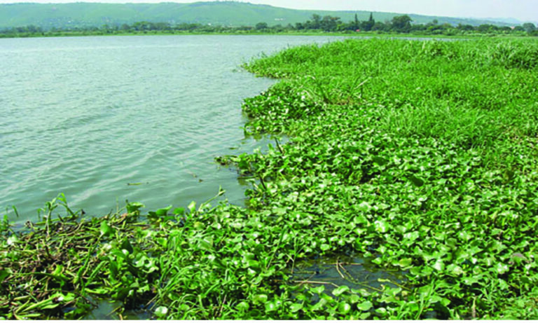 Disabled activists revive Lake Chivero hope