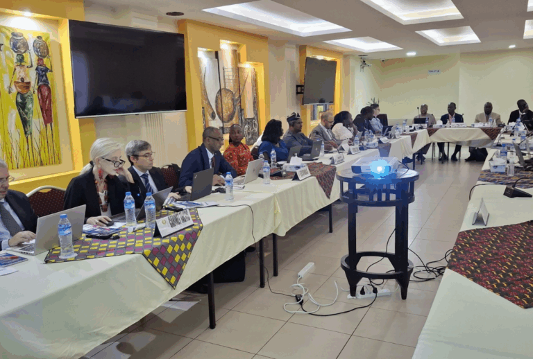 ECOWAS eyes second submarine cable for West Africa
