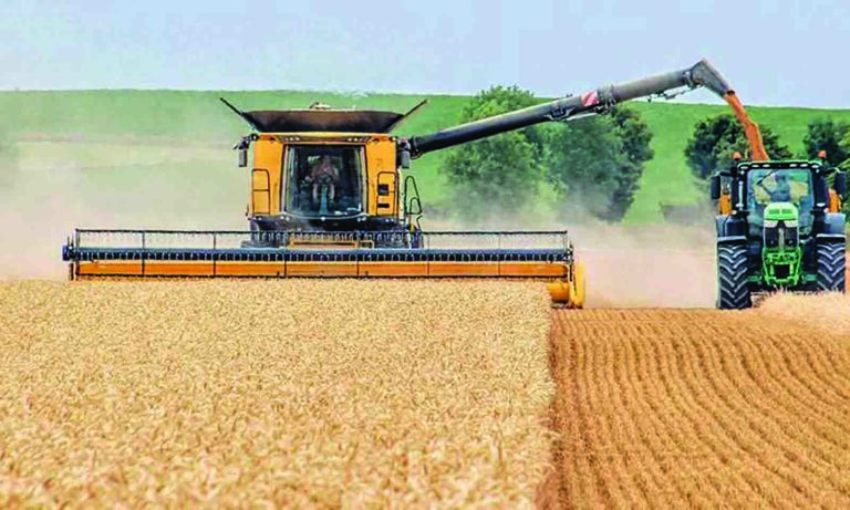 Farmers urged to finish wheat harvest before rains hit