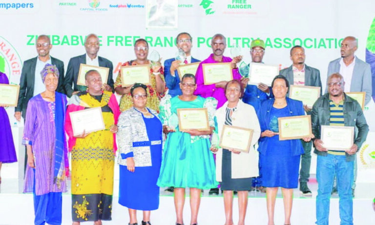 Free-range chickens fuel Zim revival