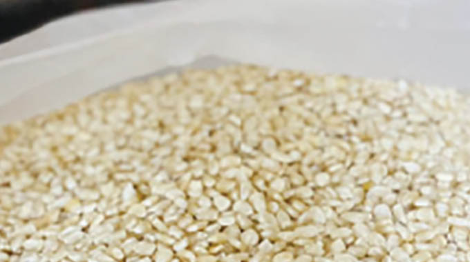 Gmaz purchases 35,000 tonnes of wheat from Arda