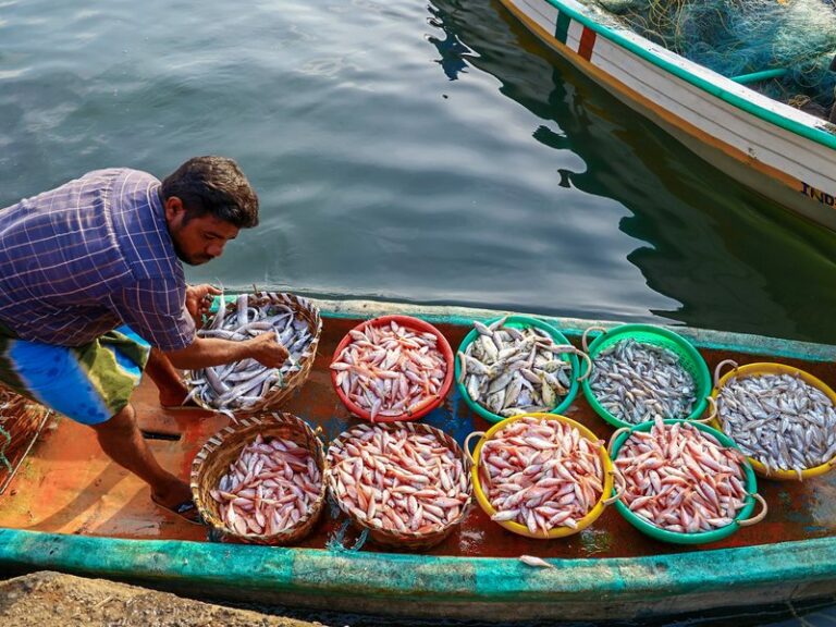 Govt urges fisheries sector to register for benefits