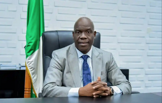 Komolafe named CEO of the Year for energy reforms