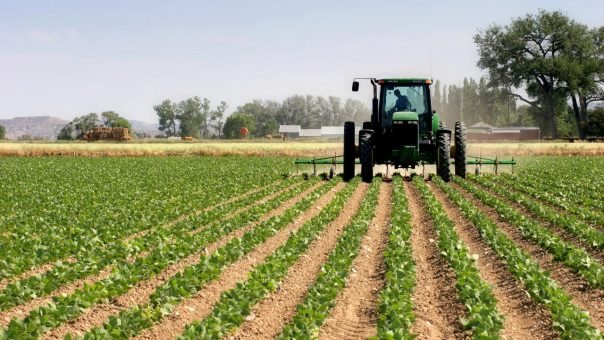 Media urged to boost agriculture, nutrition awareness in Nigeria