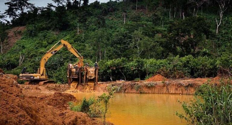 Ministry of Lands to revoke more mining licences