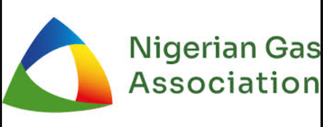 NGA urges action at Lagos gas forum 2025