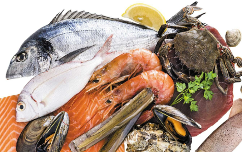 Stakeholders urge action on seafood safety in Nigeria