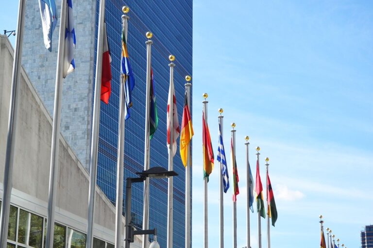 UN expert calls for reforms to global financial system