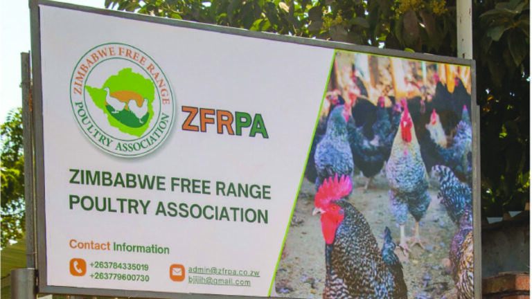 Zimbabwe Free Range Poultry marks 10 years