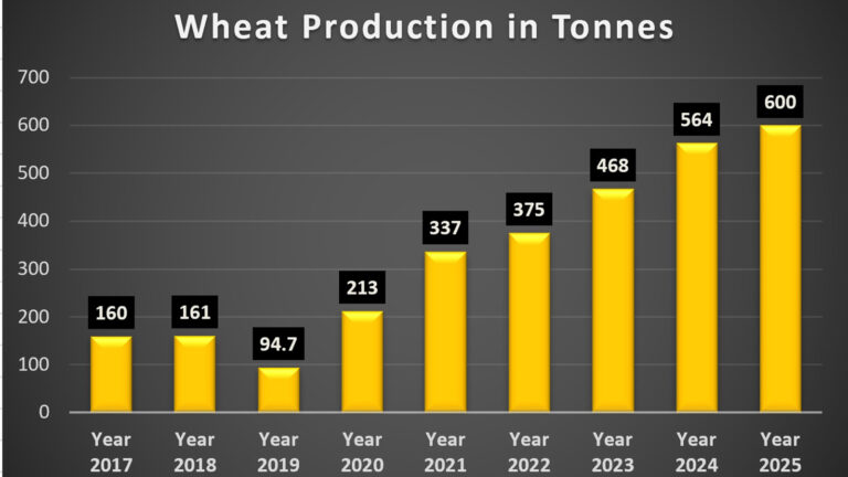 Zimbabwe ensures no extra costs for imported wheat