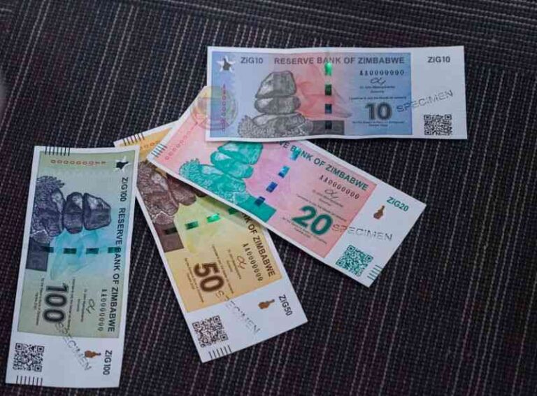 Zimbabwe inflation math raises brows