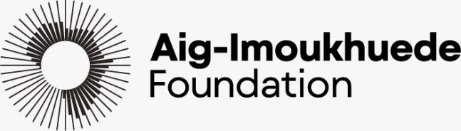 Aig-Imoukhuede picks 72 for Africa reform plan