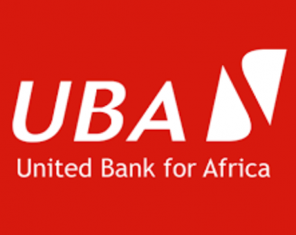 Alawuba touts $30bn Chad plan at UAE forum