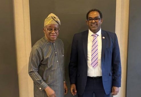 FAO hails Oyetola’s push for fish production in Nigeria