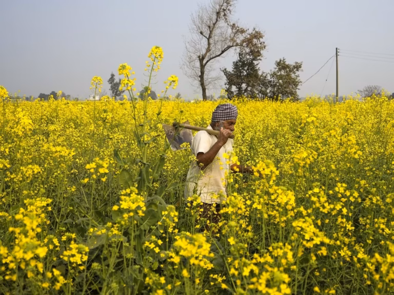 Farmers wait anxiously as PM Kisan 21st installment looms