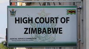 High Court sets RioZim rescue hearing for November 12