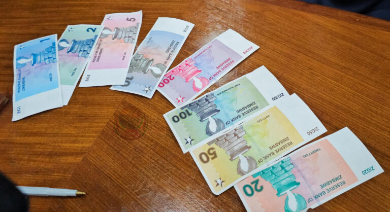 IMF flags risks as Zimbabwe boasts currency gains