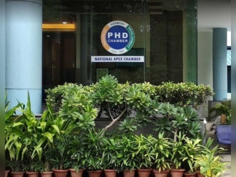 Industry urges India to launch critical minerals push