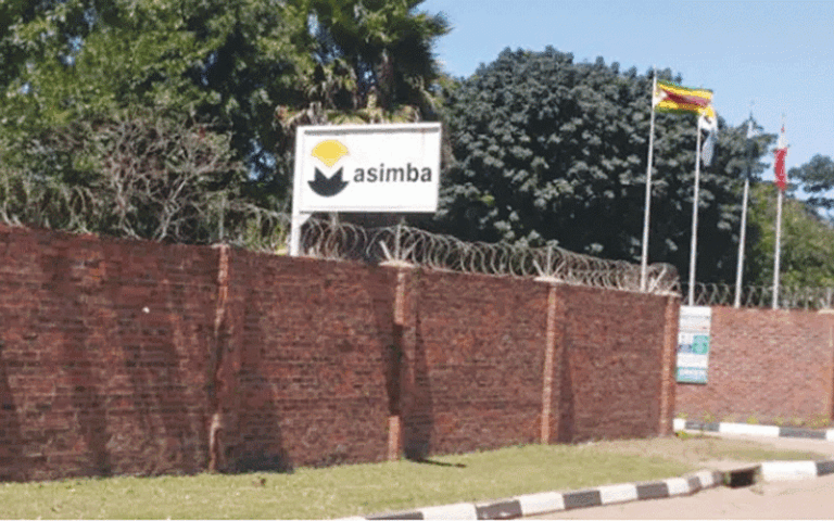 Masimba Holdings expects growth in 2026 with mining, infrastructure boost