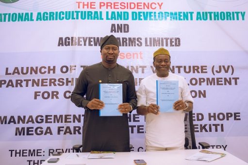NALDA, Agbeyewa Farms partner for large-scale cassava project
