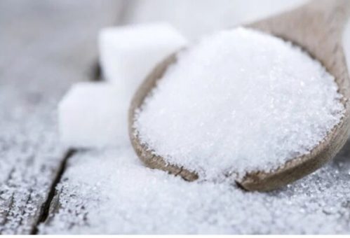 NSDC launches sugarcane outgrower program to boost local production