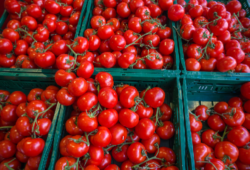 Nigeria hikes tomato crate credit risk guarantee to 75%