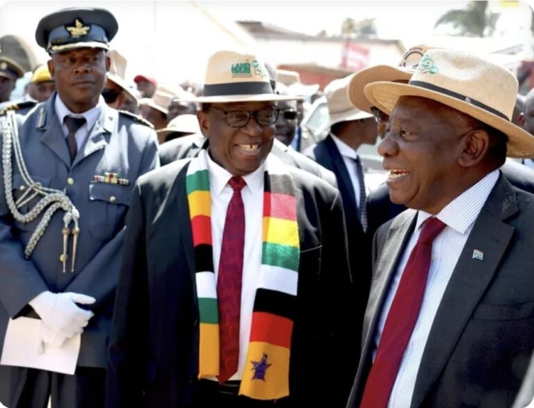 Ramaphosa takes interim SADC chair role