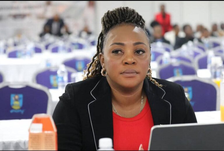 Tech partnerships seen as key to Zimbabwe’s digital future