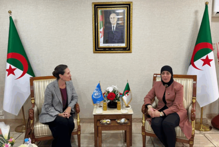 UNDP partners with Algeria to drive digital overhaul