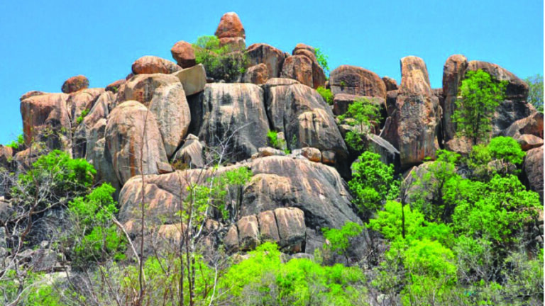 Zimbabwe eyes tourism growth with focus on service, culture