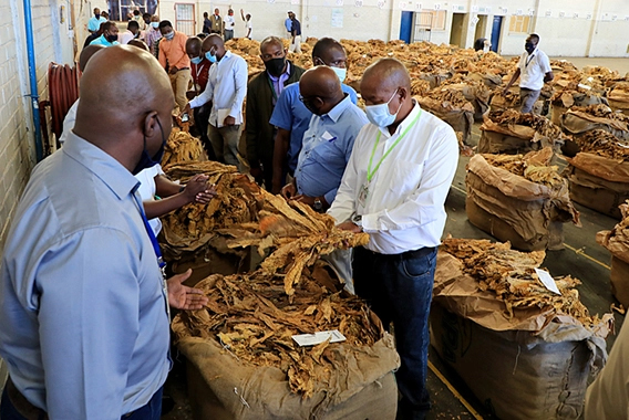 Zimbabwe tobacco firms eye new markets at China, Dubai expos